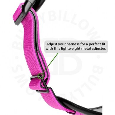 BullyBillows Premium Comfort petnešos magenta 2