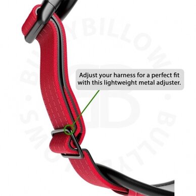 BullyBillows Premium Comfort petnešos raudonos 2