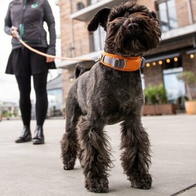 DOG Copenhagen Urban Explorer minkštas antkaklis šunims oranžinis 3