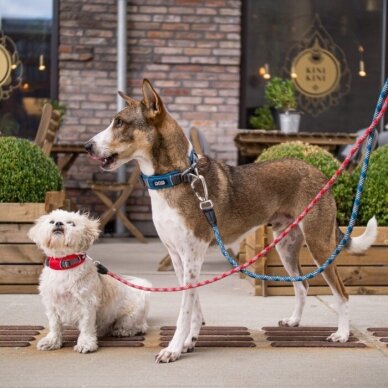 DOG Copenhagen Urban Explorer minkštas antkaklis šunims purpurinis 3