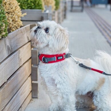 DOG Copenhagen Urban Explorer minkštas antkaklis šunims raudonas 3