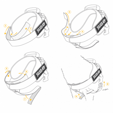 Julius-K9 Front Control Y-belt krūtinės diržas petnešoms 2